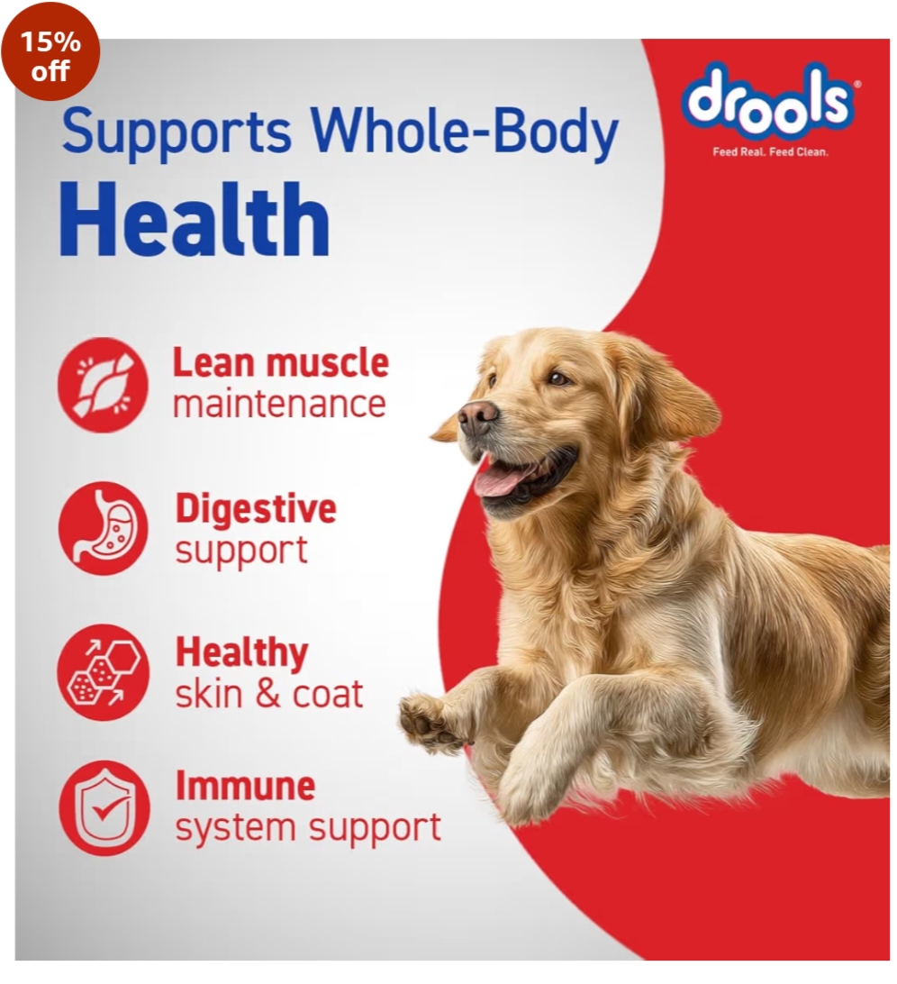 Drools Dog adult chi and egg 10kg
